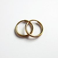 Single or Pair of Small 12mm 14K Gold Filled Huggie Hoop Earrings ~ The Tiny Tree Frog Jewellery